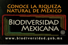 Logo_BiodiversidadMexicana