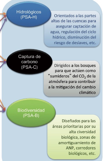 5-2_pago_servicios_ambientales