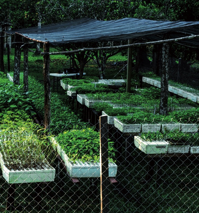 5-8_restauracion-ecologica_mcomillas