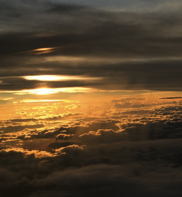 6-3_conservacion__desarrollo